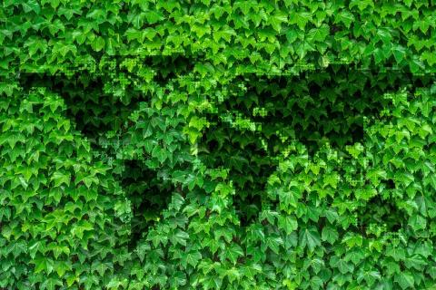 Traduzioni per la tutela della natura e dell'ambiente