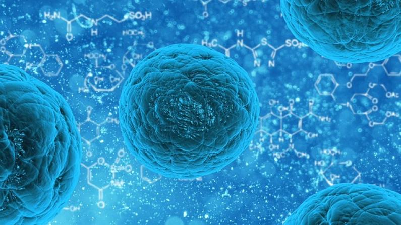 La traduzione specialistica in ambito medico-scientifico La traduzione specialistica in ambito medico-scientifico