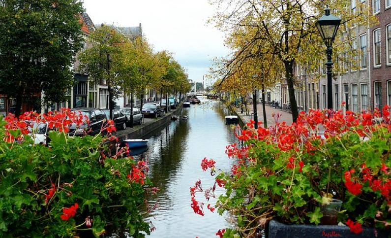 Optilingua offre Servizi di Traduzione anche ad Amsterdam Optilingua apre Agenzia di Traduzioni ad Amsterdam, Olanda