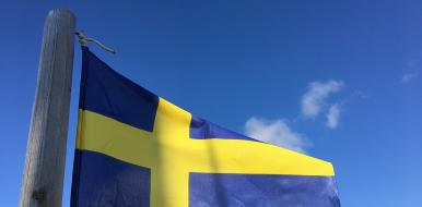 Possibilità di crescita Il mercato e-commerce in Svezia